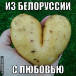 Из Белоруссии с любовью