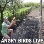 Angry Birds по-русски